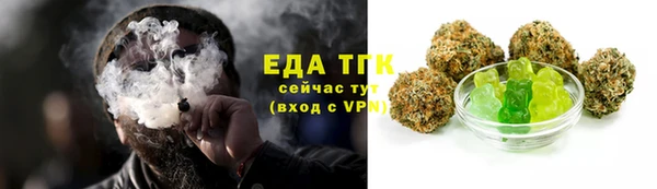 индика Алзамай