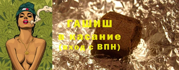 индика Алзамай