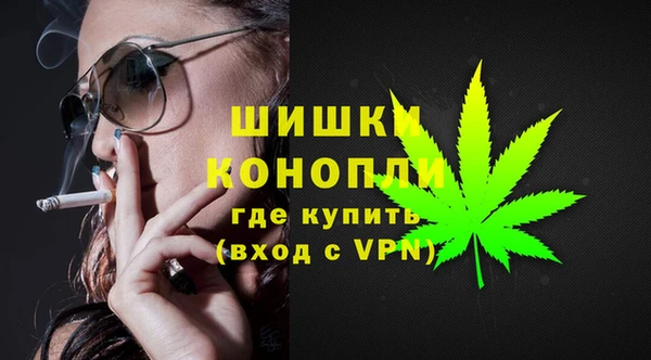 индика Алзамай