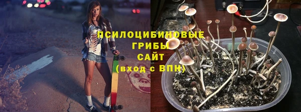 индика Алзамай