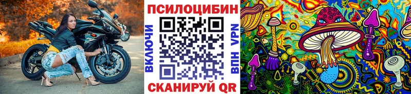 Псилоцибиновые грибы Psilocybine cubensis  hydra маркетплейс  Люберцы  купить  сайты 